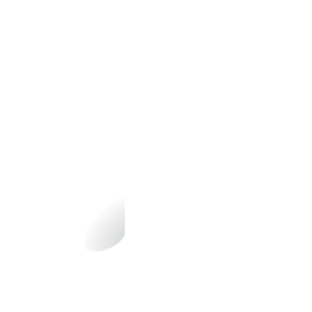 Dillygence
